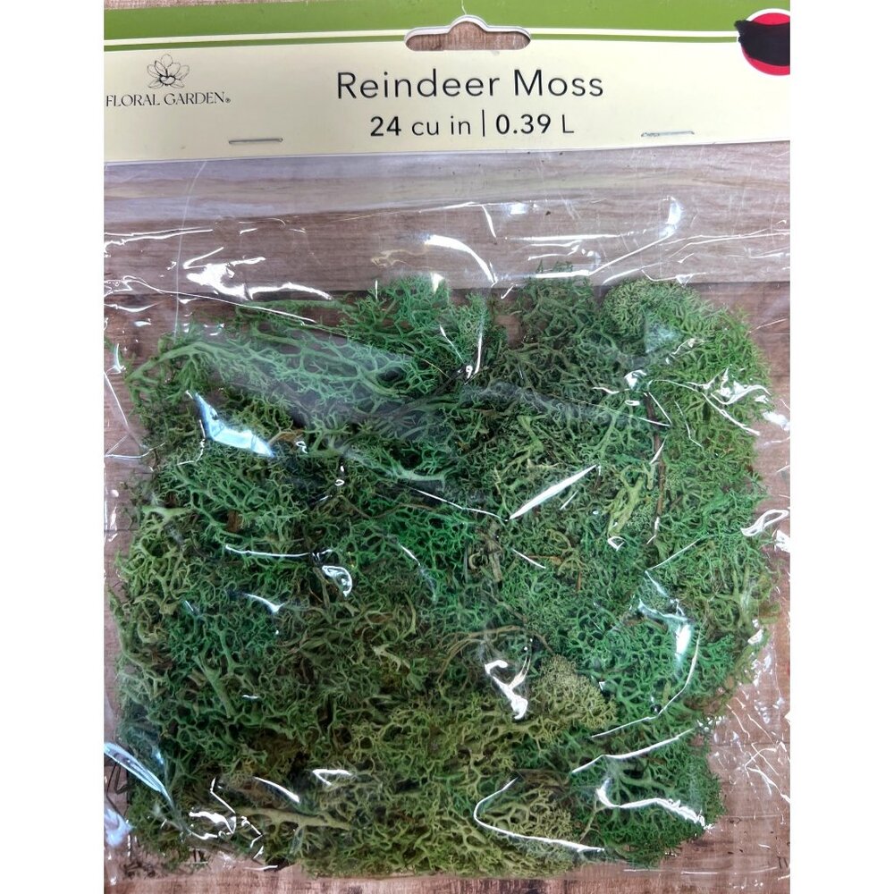Floral Garden Reindeer Moss Preserved Natural Green Craft Decor 24 cu in